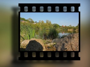 SWFLTech Video Clip